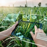 Liệu chúng ta đã sẵn sàng cho AI tự động?