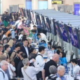 Bổ sung thêm tàu bay phục vụ nhân dân dịp Tết Nguyên đán