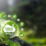 Thủ tướng: Khẩn trương triển khai Đề án phát triển thị trường carbon