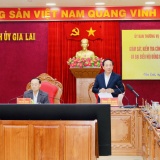 Trưởng Ban Tuyên giáo và Dân vận Trung ương làm việc với tỉnh Gia Lai về công tác bầu cử