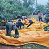 Đánh thức 'linh hồn' đất bazan