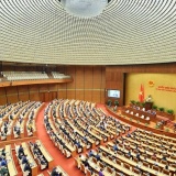 7 nữ ứng viên thuộc thế hệ 2000 ứng cử Đại biểu Quốc hội khóa XVI