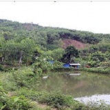 Căn cứ xác định là đất vườn, ao gắn liền đất ở