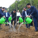 Chủ tịch nước dự lễ phát động Tết trồng cây năm 2026
