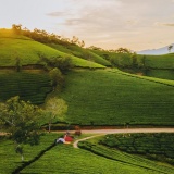 Phú Thọ: Long Cốc - “Bồng lai tiên cảnh mỗi sớm mai” - thu hút du khách