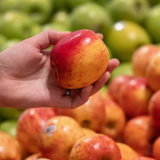 Cảnh báo: Phát hiện hơn 80% táo tươi tại Châu Âu chứa 'cocktail' thuốc bảo vệ thực vật