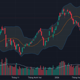 Vốn ngoại tranh thủ bắt đáy mạnh, cổ phiếu dầu khí, hóa chất, cao su tăng rực rỡ