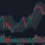 Cổ phiếu dầu khí “cháy” trở lại, tiền vẫn chặn đỡ ổn định vùng giá thấp
