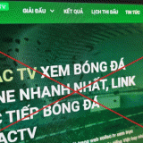 'Xôi Lạc TV' xâm phạm quyền tác giả, quyền liên quan, 30 đối tượng bị khởi kiện