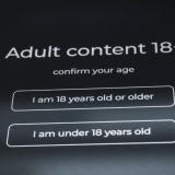 Hàng trăm nhà nghiên cứu từ 29 quốc gia kêu gọi tạm dừng xác minh tuổi trực tuyến