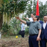 Thủ tướng Phạm Minh Chính: Cần biến núi rừng Tây Bắc trùng điệp thành của cải vật chất