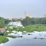 Nghiên cứu lắp đặt hệ thống ngăn lục bình, thu gom rác thải tại đầu nguồn sông, kênh, rạch