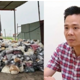 Vụ sản xuất 100 tấn thực phẩm chức năng giả: 'Ông trùm' Nguyễn Năng Mạnh khai gì?