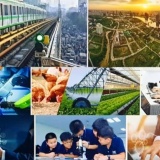 Chương trình hành động của Chính phủ thực hiện Nghị quyết Đại hội đại biểu toàn quốc lần thứ XIV của Đảng