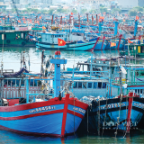 Giá dầu tăng mạnh, nhiều ngư dân “bỏ biển” chờ giải pháp