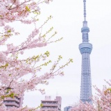 Chứng khoán châu Á tăng điểm dịp Lễ Phục Sinh, thị trường kỳ vọng eo biển Hormuz được mở lại