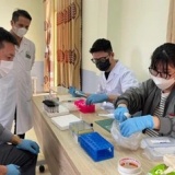 Phát triển que thử LFIA theo dõi tái phát và điều trị ung thư