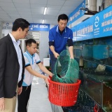 Tăng cường chuyển đổi số trong xây dựng nông thôn mới trên địa bàn tỉnh Quảng Trị
