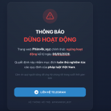 Xôi Lạc, Rophim, Motchill vào tầm giám sát: Chính phủ mở đợt cao điểm xử lý hệ sinh thái web lậu từ 7/5