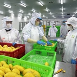 Khoa học, công nghệ là 'chìa khóa' chuyển đổi mô hình tăng trưởng nông nghiệp