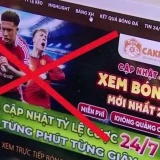 Khởi tố 23 đối tượng trong đường dây xâm phạm bản quyền bóng đá quy mô lớn