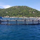 Tăng năng suất nhờ áp dụng mô hình nuôi biển công nghệ cao