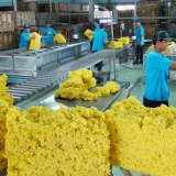 Xuất khẩu cao su 6 tháng đầu năm giảm cả lượng và giá trị