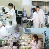 Để doanh nghiệp ra đề bài, thử nghiệm, triển khai thành tựu nghiên cứu khoa học