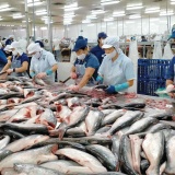 FTA Việt Nam - EFTA: Cơ hội mới cho xuất khẩu thủy sản Việt Nam