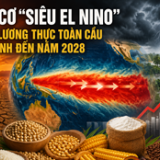 Siêu El Nino có thể đẩy giá lương thực toàn cầu tăng mạnh