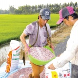 Người mắc bệnh hiểm nghèo, cấp cứu không cần giấy chuyển viện