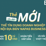 BIDV Napas Business - giải pháp thanh toán hiệu quả của doanh nghiệp
