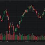 Chứng khoán hôm nay 14/7: VN-Index rút chân ngoạn mục, đóng cửa tăng 6,09 điểm