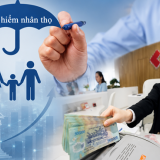 Quản lý môi trường hiệu quả - yếu tố then chốt của phát triển bền vững