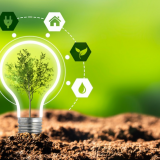 Thuế carbon 15 USD/tấn CO₂ có thể giảm 2,9% lượng phát thải nhưng cũng ảnh hưởng GDP