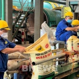 Phân bón Bình Điền (BFC) chốt ngày chia chia cổ tức, tiền mặt 35%