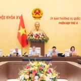 Sửa Luật Hải quan siết quản lý giao dịch xuất nhập khẩu trên nền tảng số