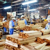 Hải Phòng tiên phong: 100% học sinh được theo dõi sức khỏe định kỳ hằng năm