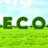 Việt Nam tham gia GREEN EXPO 2027: Khẳng định hình ảnh quốc gia chuyển đổi xanh, bền vững