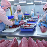 CPTPP thúc đẩy kết nối thương mại và đầu tư trong giai đoạn mới