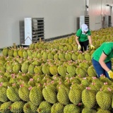Giao dịch mua bán bằng bảng kê: Doanh nghiệp cần hiểu đúng và áp dụng chuẩn