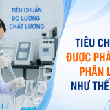 Tiêu chuẩn được phân cấp, phân loại như thế nào?