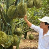 Sở Y tế Hà Nội xử phạt Phòng khám Đa khoa Quốc tế An Đạt cùng loạt cơ sở vi phạm