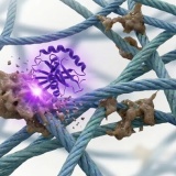 Đột phá chống lão hóa: Enzyme mới có thể loại bỏ hợp chất AGE – 