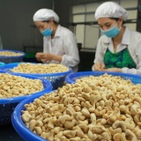 Sẵn sàng lực lượng, phương tiện ứng phó với mưa lớn, lũ lụt, sạt lở đất