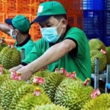 Thi tốt nghiệp THPT trên máy tính: Không thi trực tuyến, tăng bảo mật và giảm áp lực khâu tổ chức