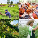 Chính sách mới có hiệu lực từ tháng 8/2026