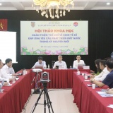 Hoàn thiện thể chế, tạo động lực mới cho kinh tế số