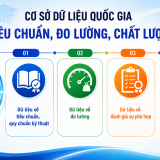 4 nhóm dữ liệu trọng tâm tích hợp trên cơ sở dữ liệu quốc gia về TCĐLCL
