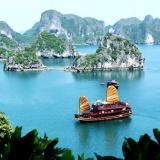 Mỗi địa điểm sẽ có mã định danh 12 chữ số, hiển thị trên VNeID